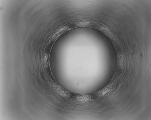 X0000059040378200510171854