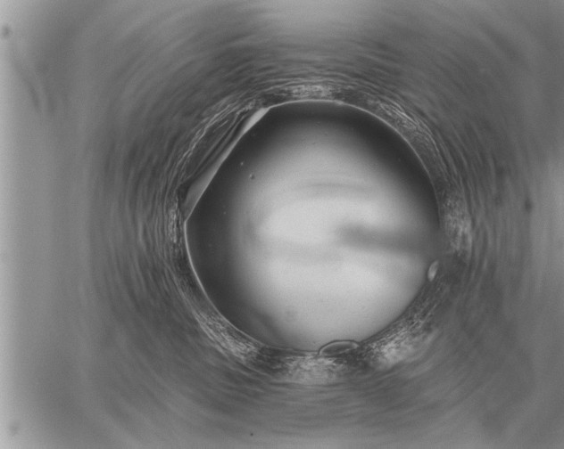 X0000059040379200510171854