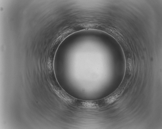 X0000059040380200510171854