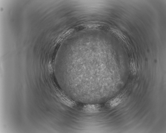 X0000059040381200510171854