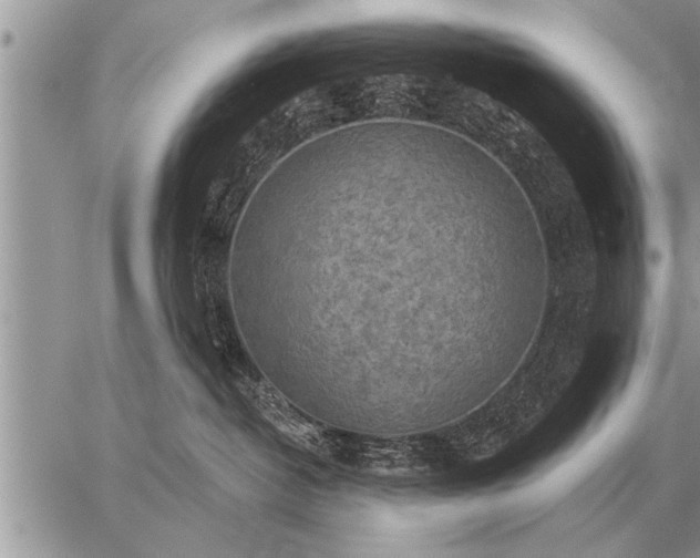 X0000059040382200510171854