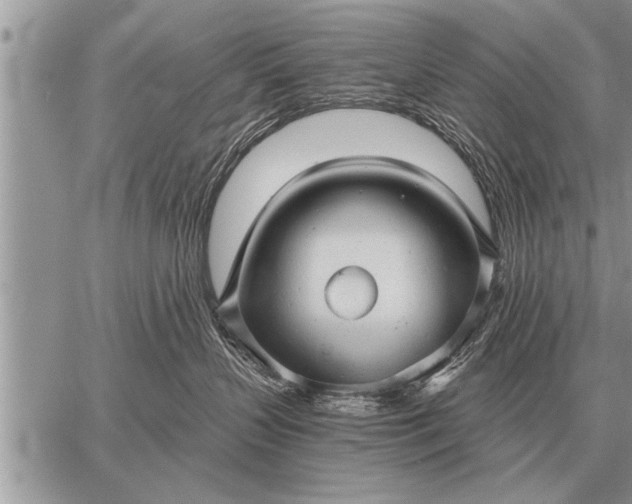 X0000059040383200510171854