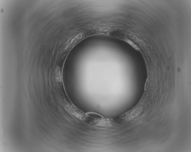 X0000059040384200510171854