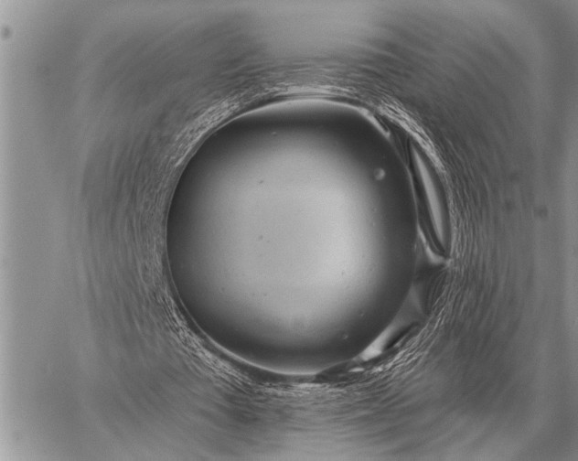 X0000059040385200510171854