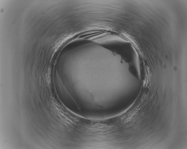 X0000059040387200510171854