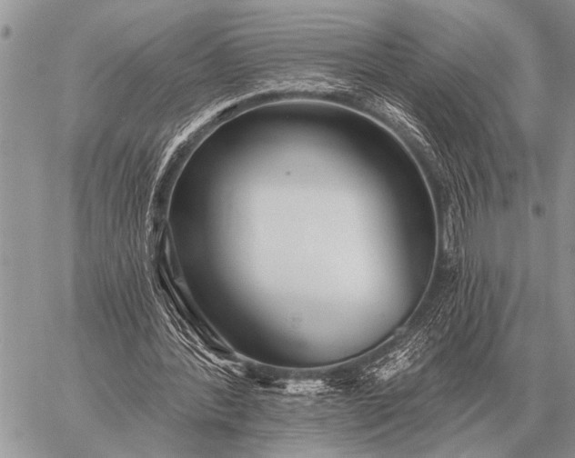 X0000059040388200510171854