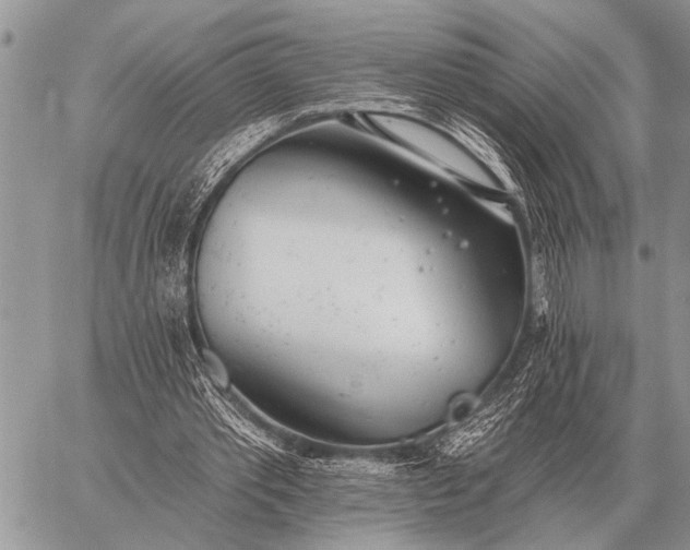 X0000059040389200510171854