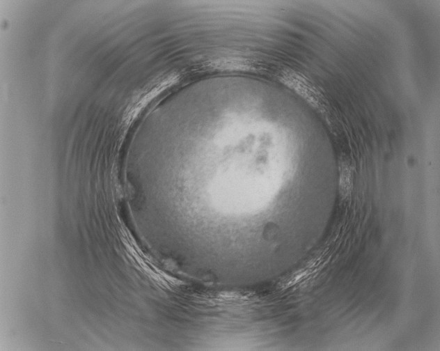 X0000059040390200510171854