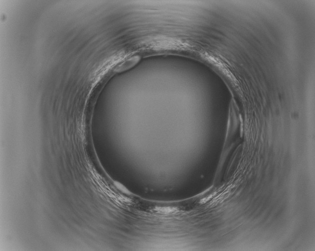 X0000059040391200510171854