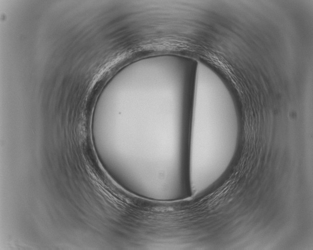 X0000059040392200510171854