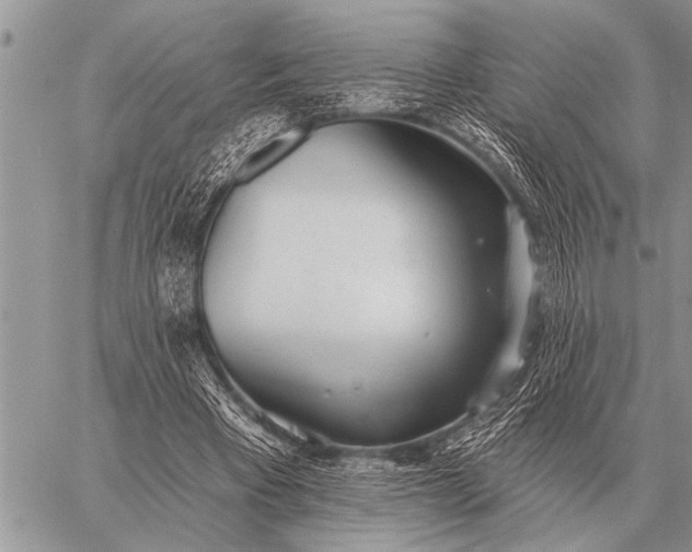 X0000059040393200510171854