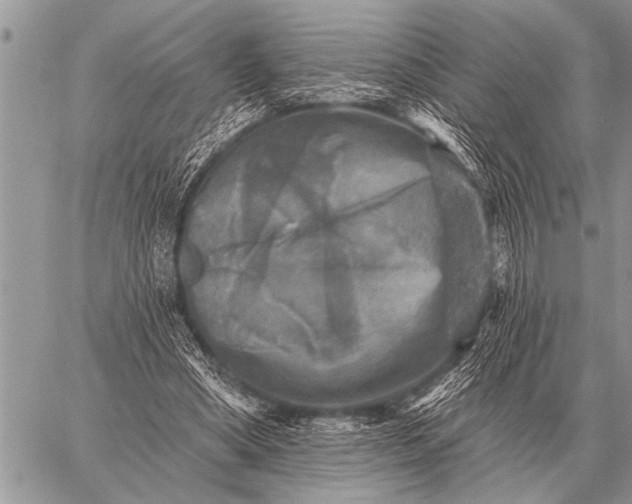 X0000059040394200510171854