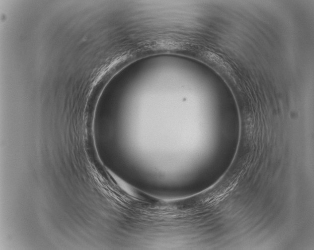 X0000059040395200510171854