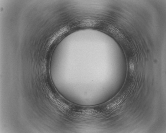 X0000059040396200510171854