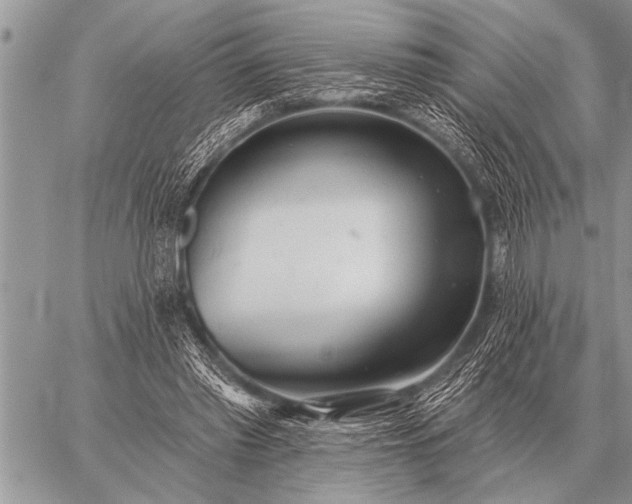 X0000059040397200510171854