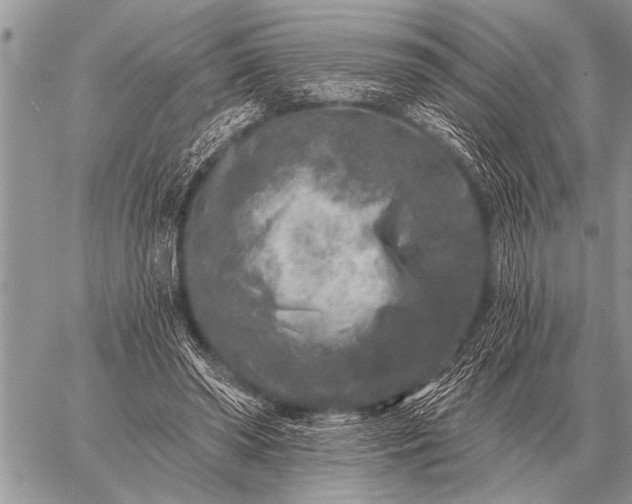 X0000059040398200510171854