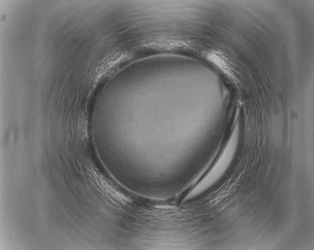 X0000059040399200510171853