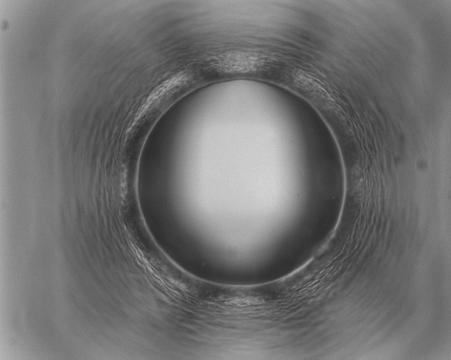 X0000059040400200510171853