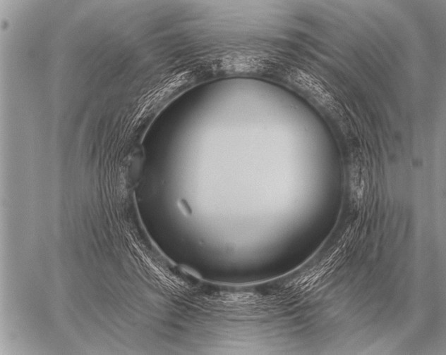 X0000059040401200510171853