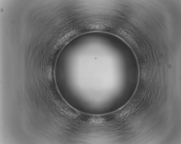 X0000059040403200510171853