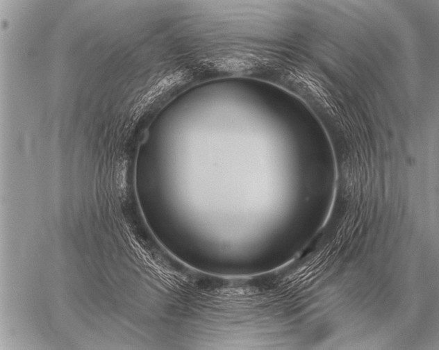 X0000059040404200510171853