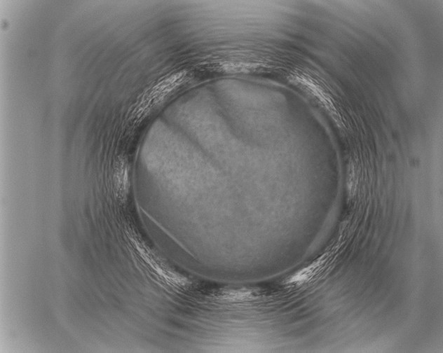 X0000059040405200510171853