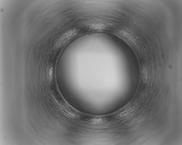 X0000059040406200510171853