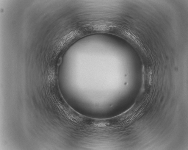 X0000059040407200510171853