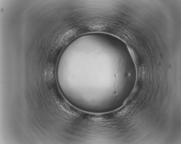 X0000059040408200510171853