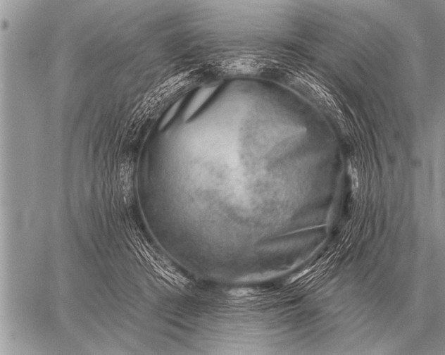 X0000059040409200510171853