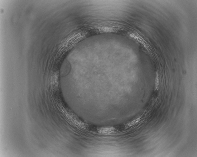 X0000059040410200510171853