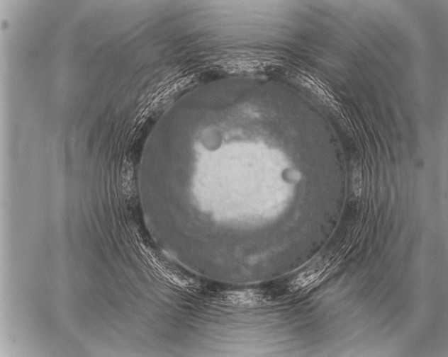 X0000059040411200510171853