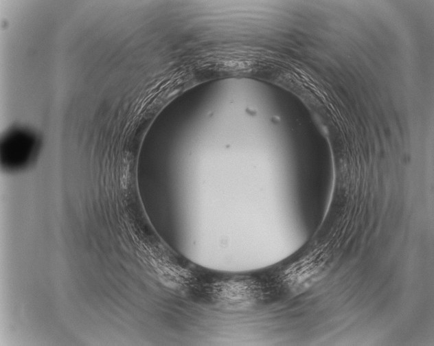 X0000059040412200510171853