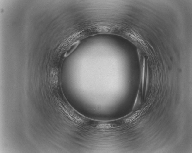 X0000059040413200510171853