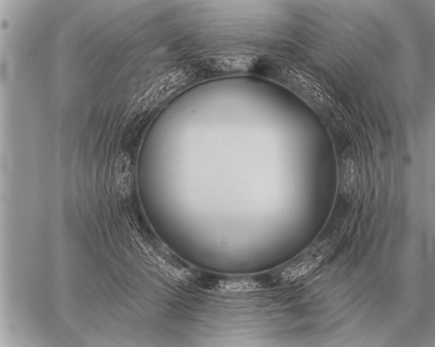 X0000059040414200510171853