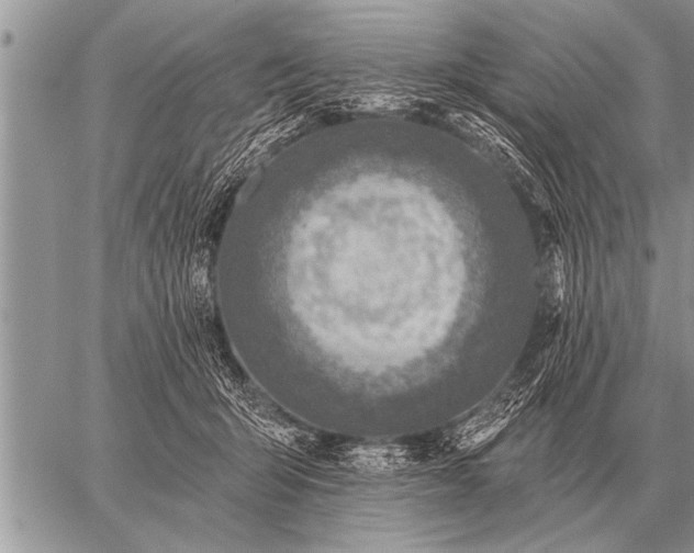 X0000059040415200510171853