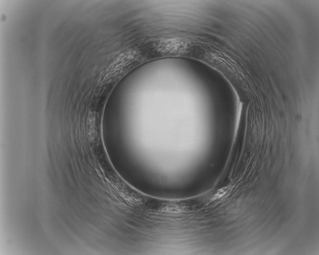 X0000059040416200510171853