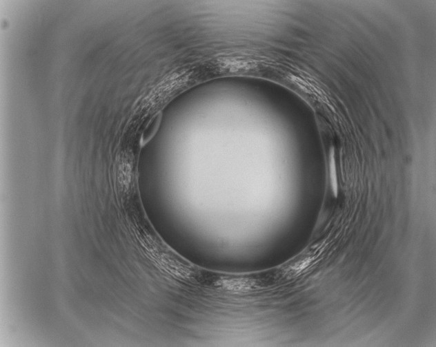 X0000059040417200510171853