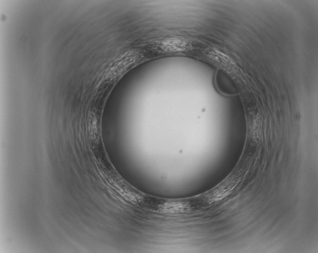 X0000059040418200510171853