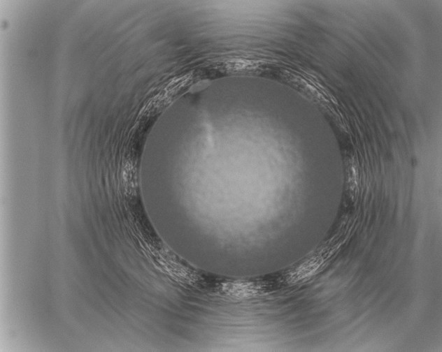 X0000059040419200510171853