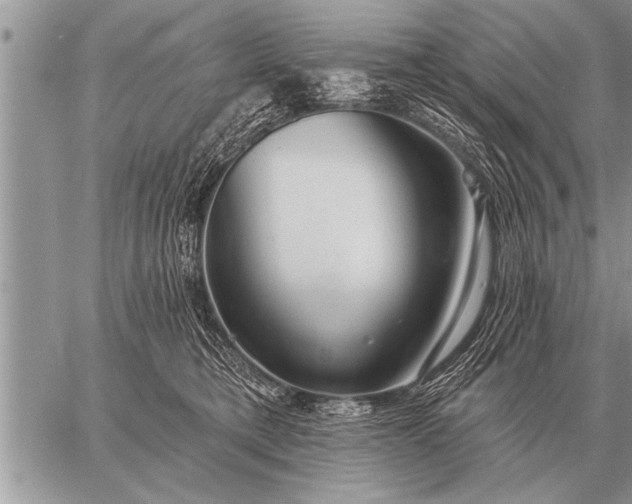 X0000059040421200510171853