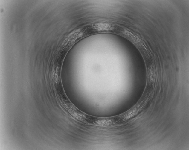 X0000059040422200510171853