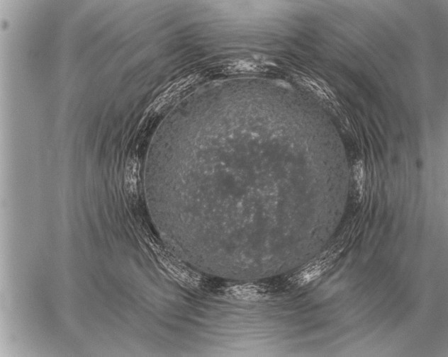 X0000059040423200510171853