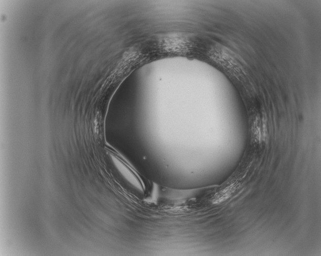 X0000059040424200510171853