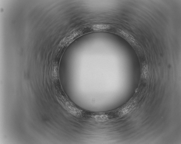 X0000059040426200510171853