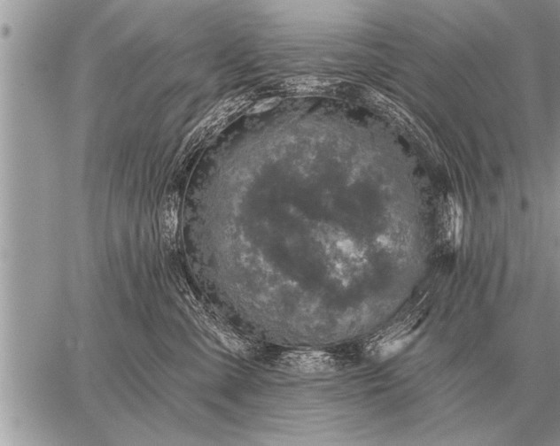 X0000059040427200510171853