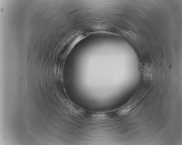 X0000059040428200510171853