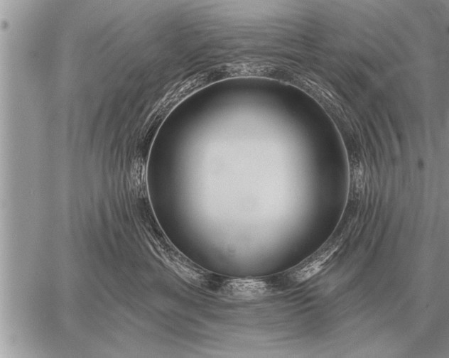 X0000059040429200510171853