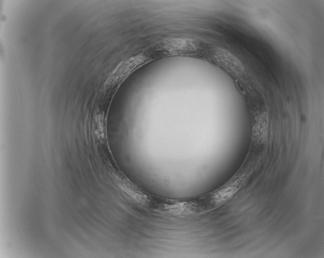 X0000059040430200510171853