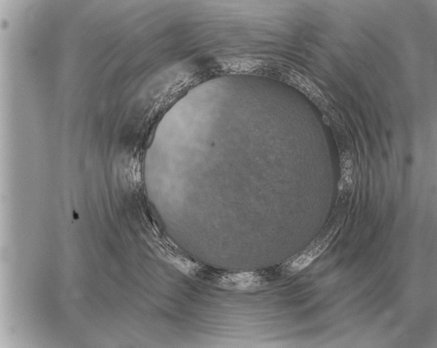 X0000059040431200510171853